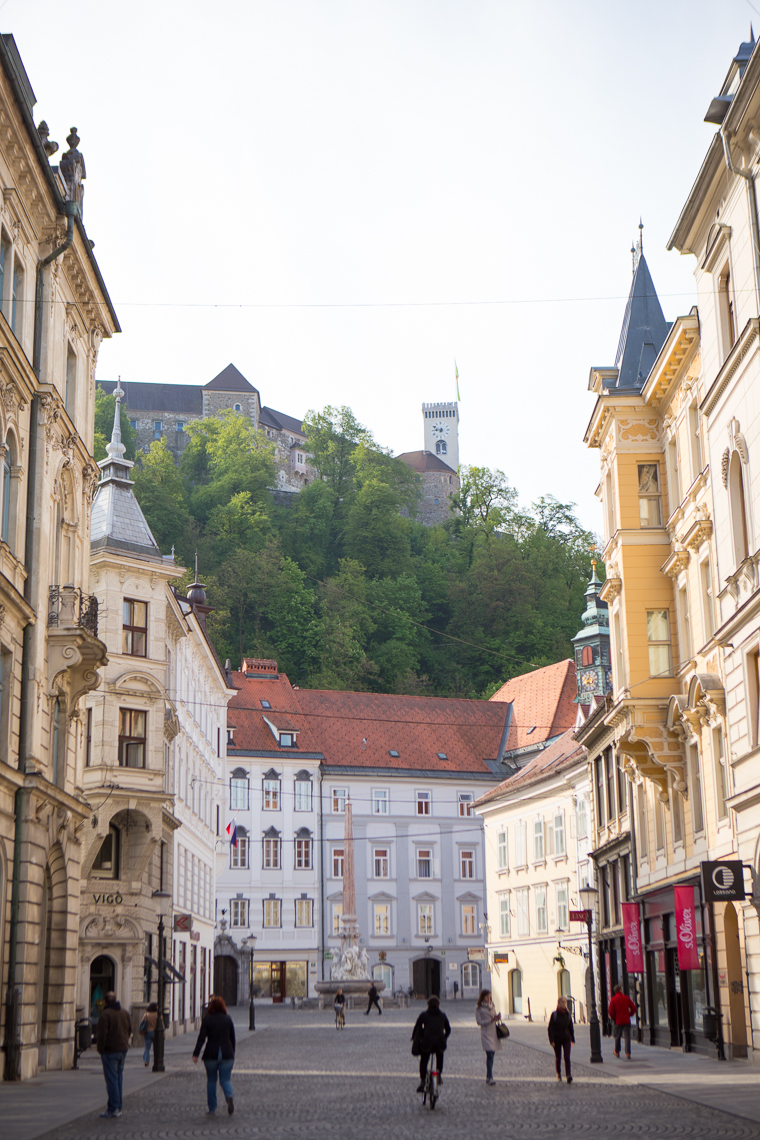 Castle overlooking ljubljana city downtown
