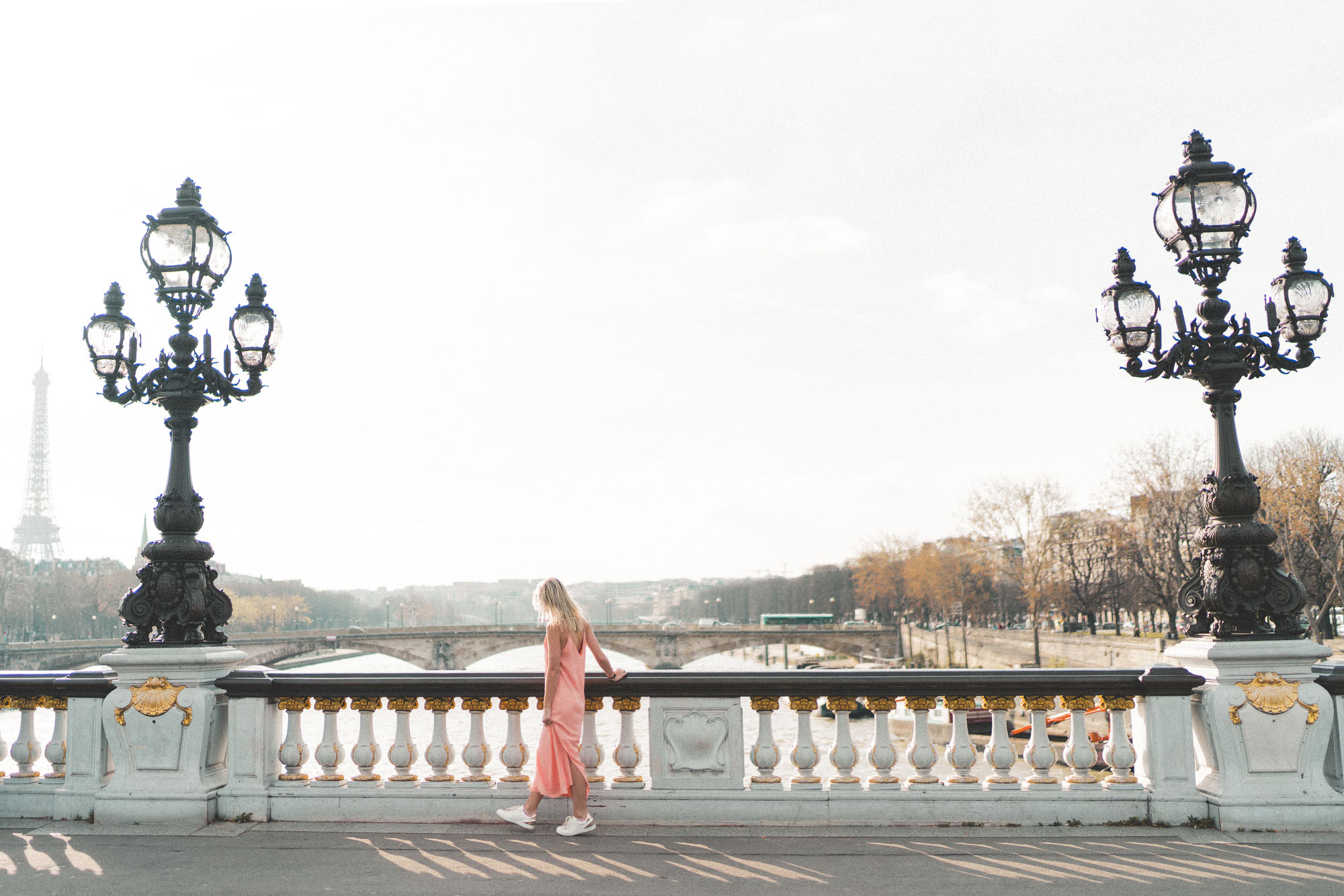 Beautiful bridges and views of the Seine in Paris, France - Pont Alexandre III 