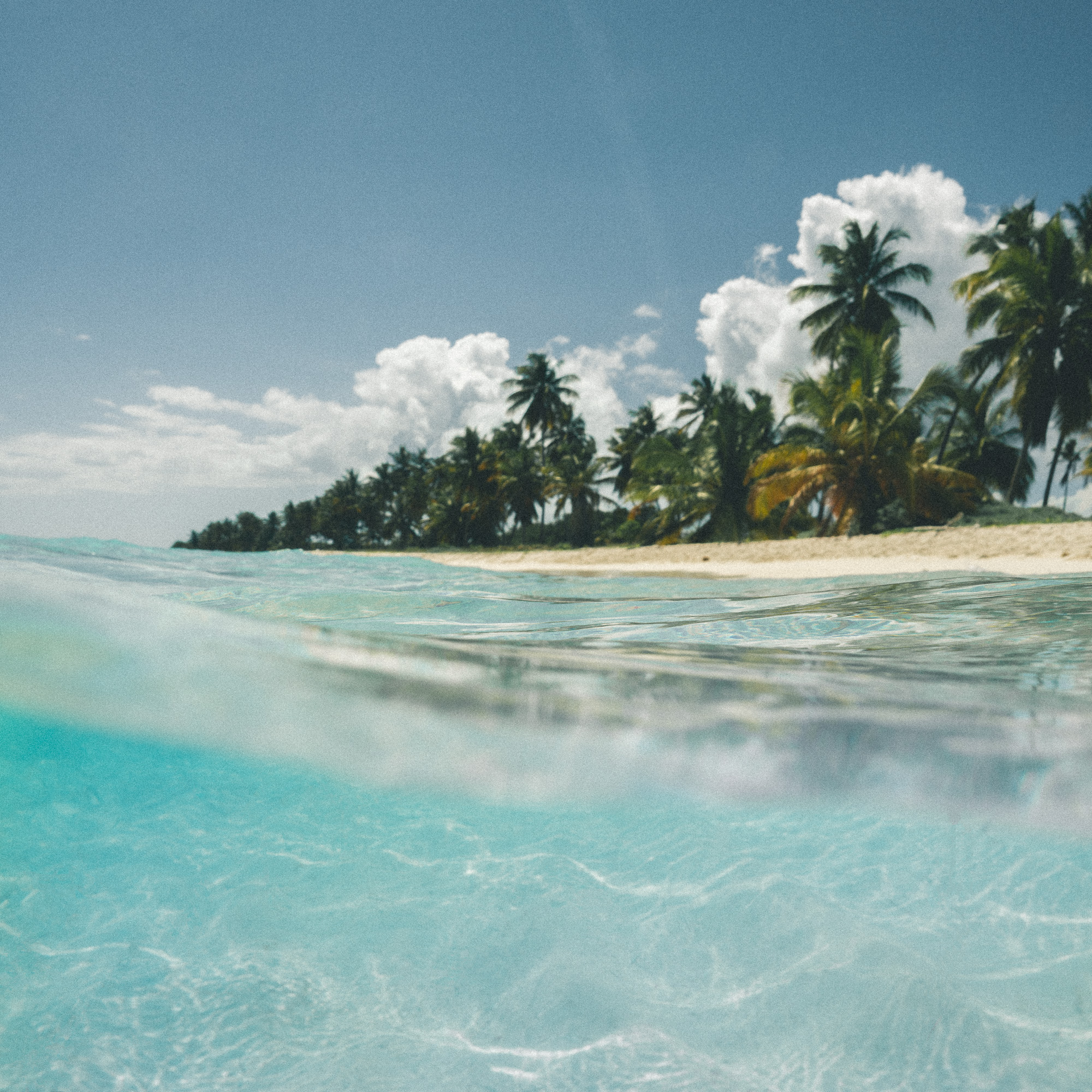 Clear blue water, Saona Island, Dominican Republic | Clear Blue Water in Punta Cana | Tropical Paradise Beach Getaways in the Caribbean | Islands Near North America 