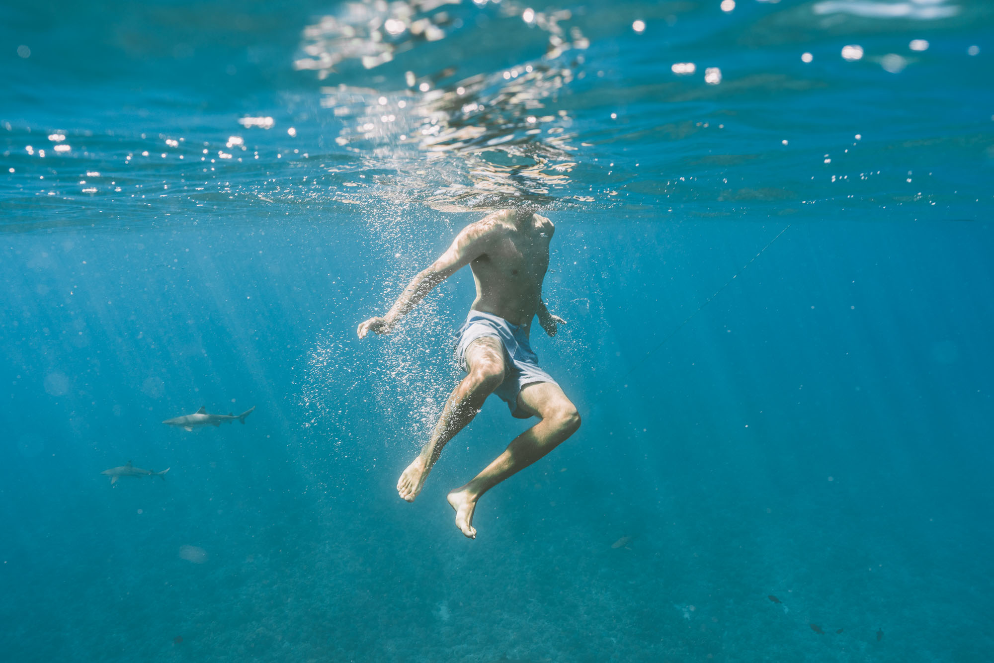 Swimming with sharks in Bora Bora Tahiti for our honeymoon via @finduslost