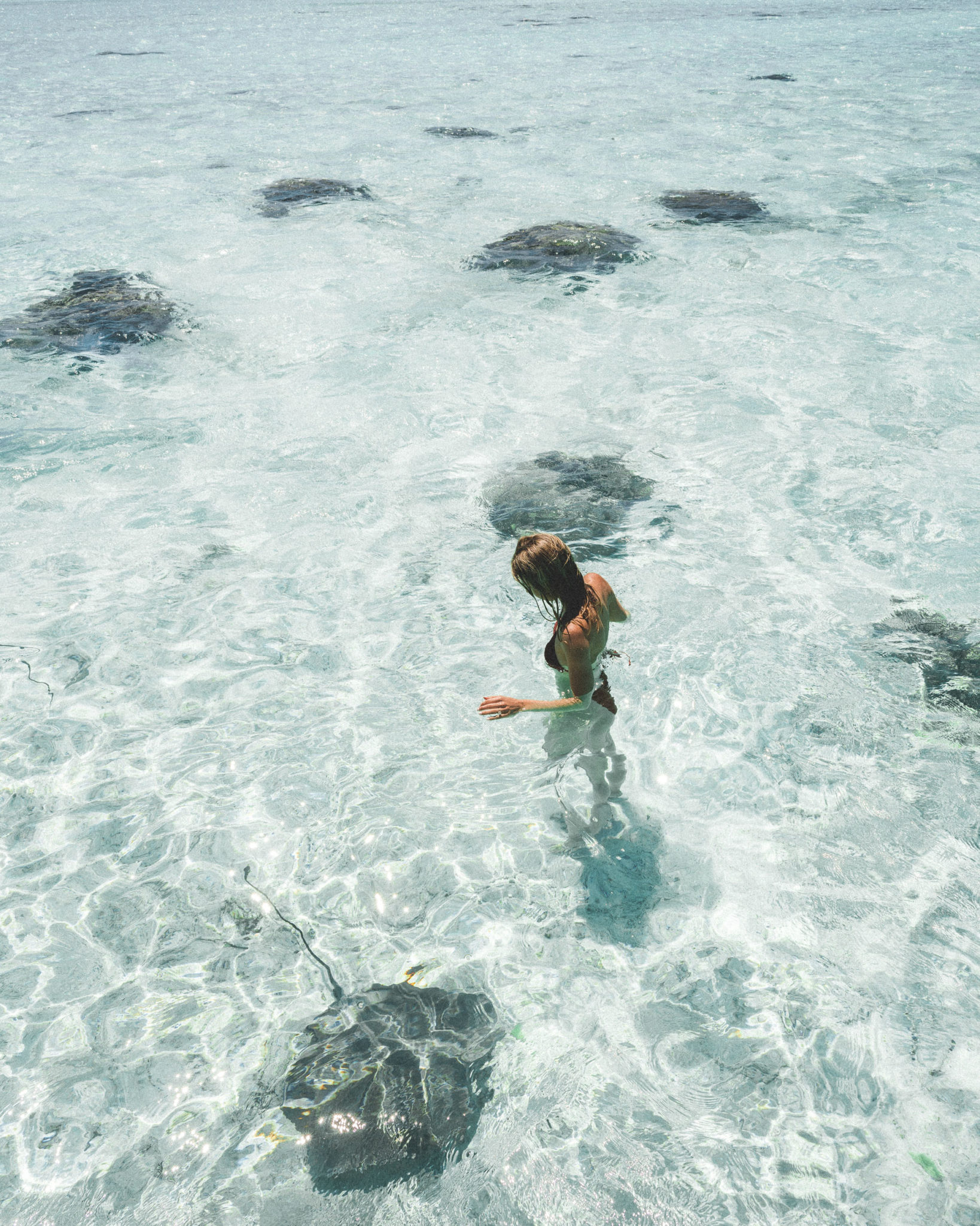 Swimming with sting rays on our honeymoon in bora bora tahiti via @finduslost