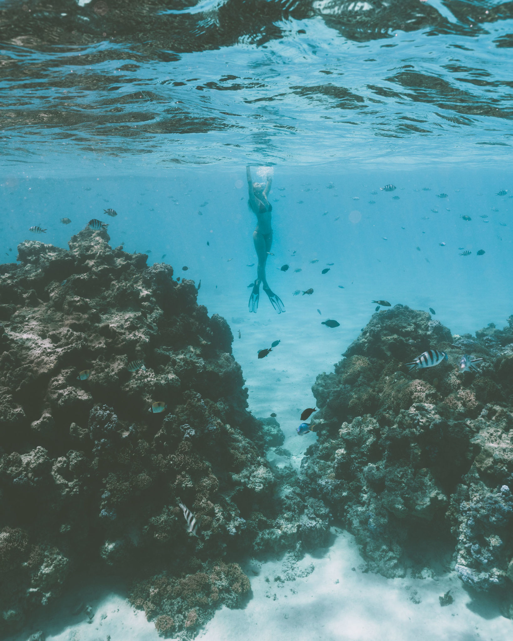 Underwater coral reefs at Four Seasons Bora Bora in Tahiti for our honeymoon via @finduslost