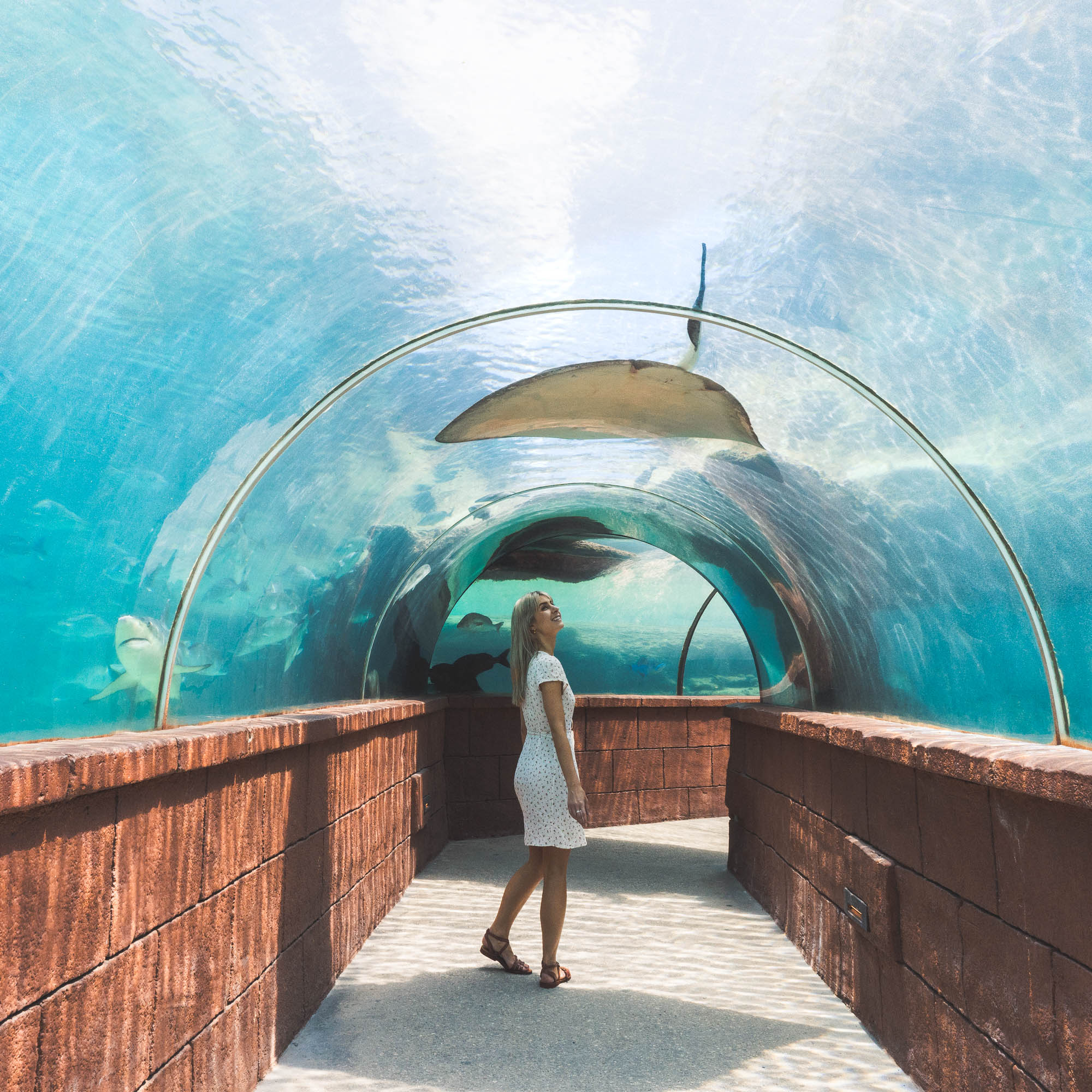 The aquarium at the Atlantis hotel on Nassau Paradise Island, Bahamas