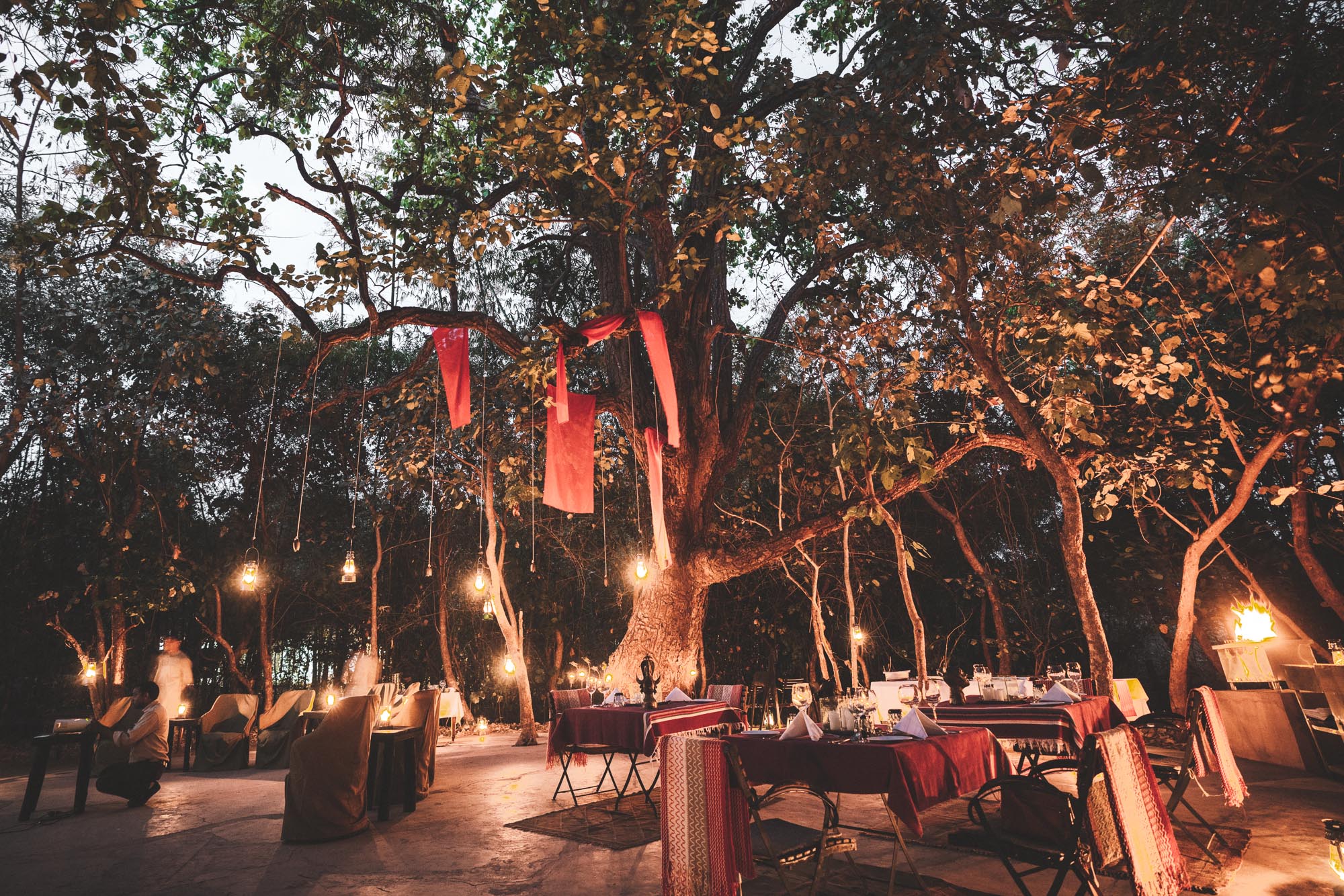 Dinner at Samode Safari Lodge in Ranthambore National Park, India via Find Us Lost