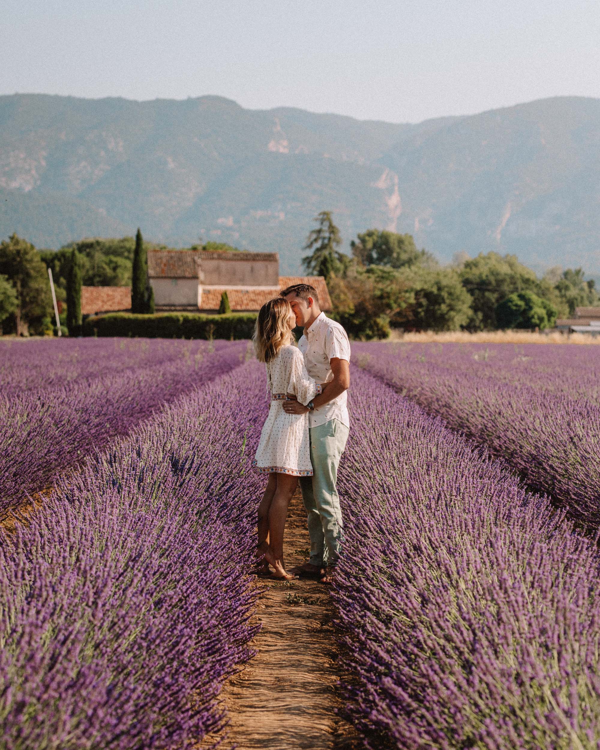 Provence Lavender fields in France