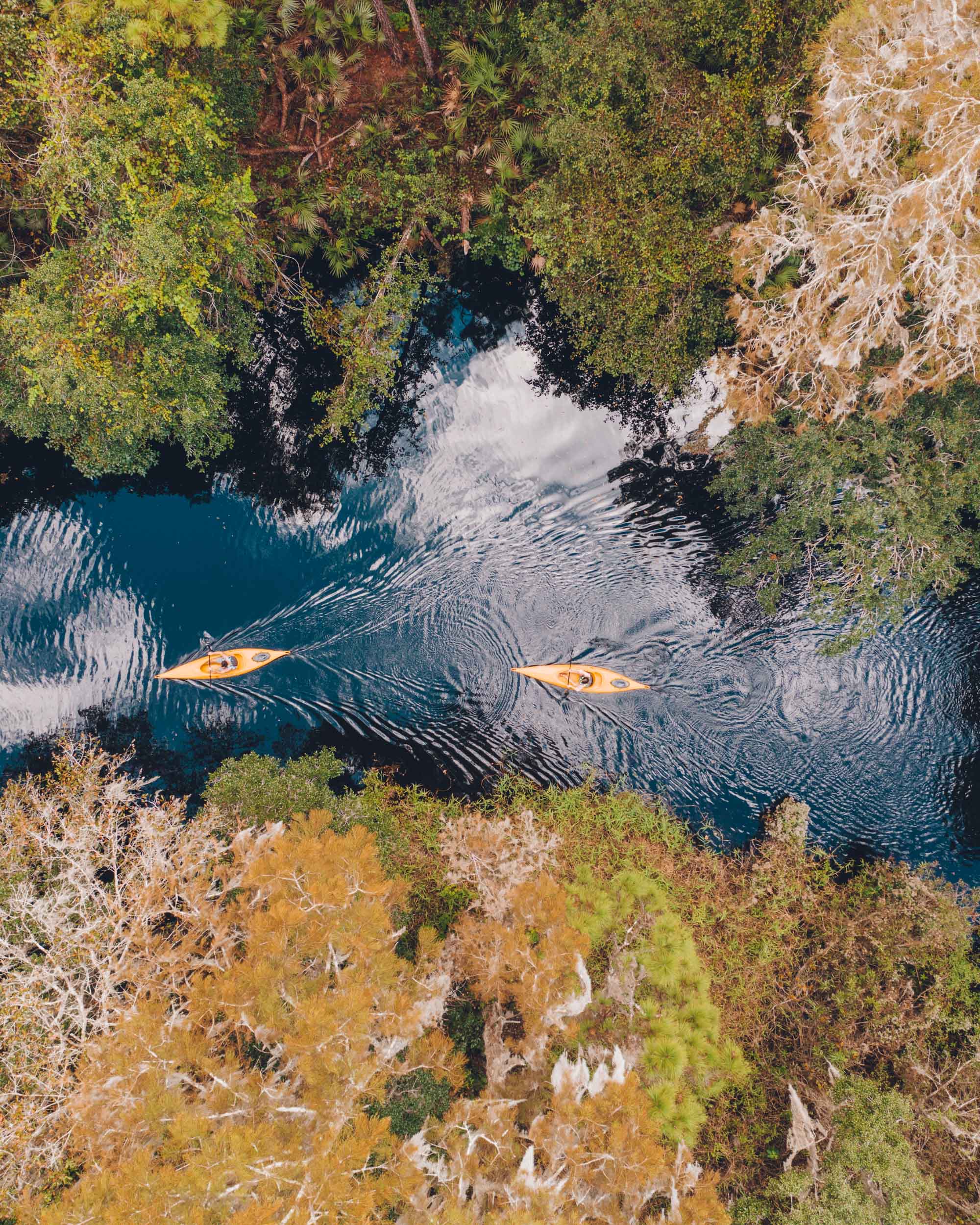 Kayaking at Shingle Creek in Kissimmee Florida