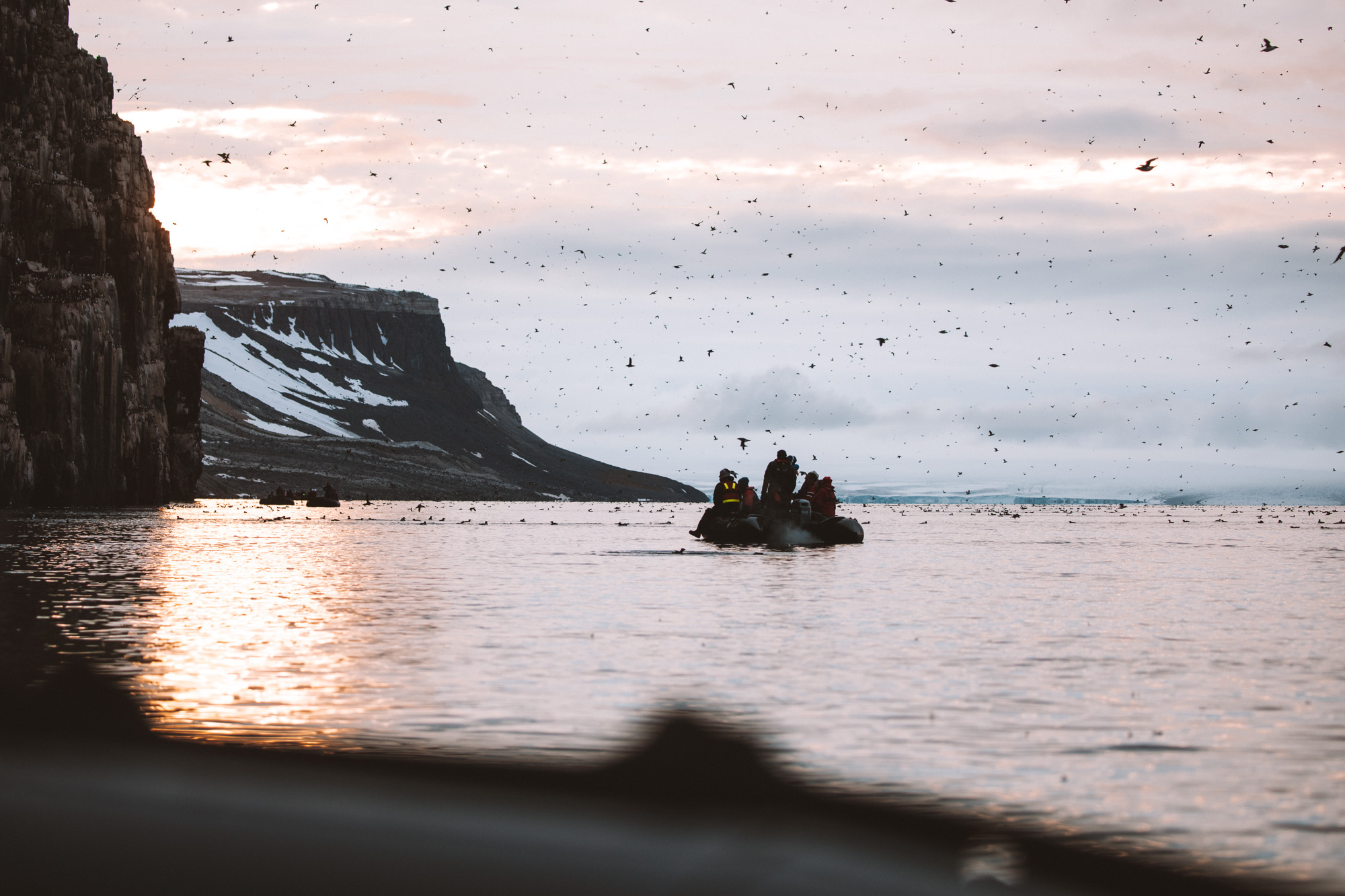Alkefjellet bird cliffs Lomfjordhalvøya in Ny Friesland at Spitsbergen, Svalbard via Find Us Lost