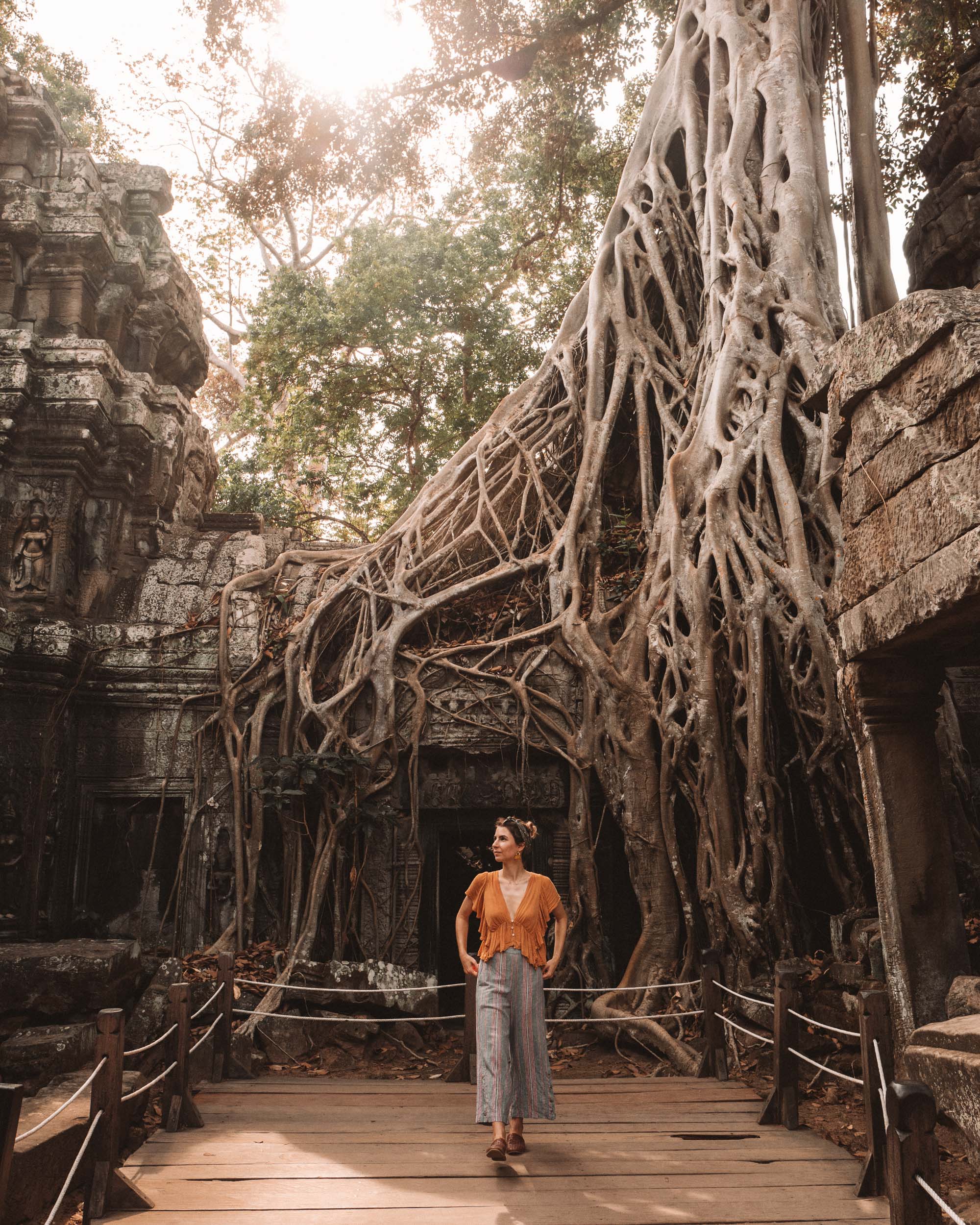 Ta Prohm temple with trees in Angkor Wat Cambodia