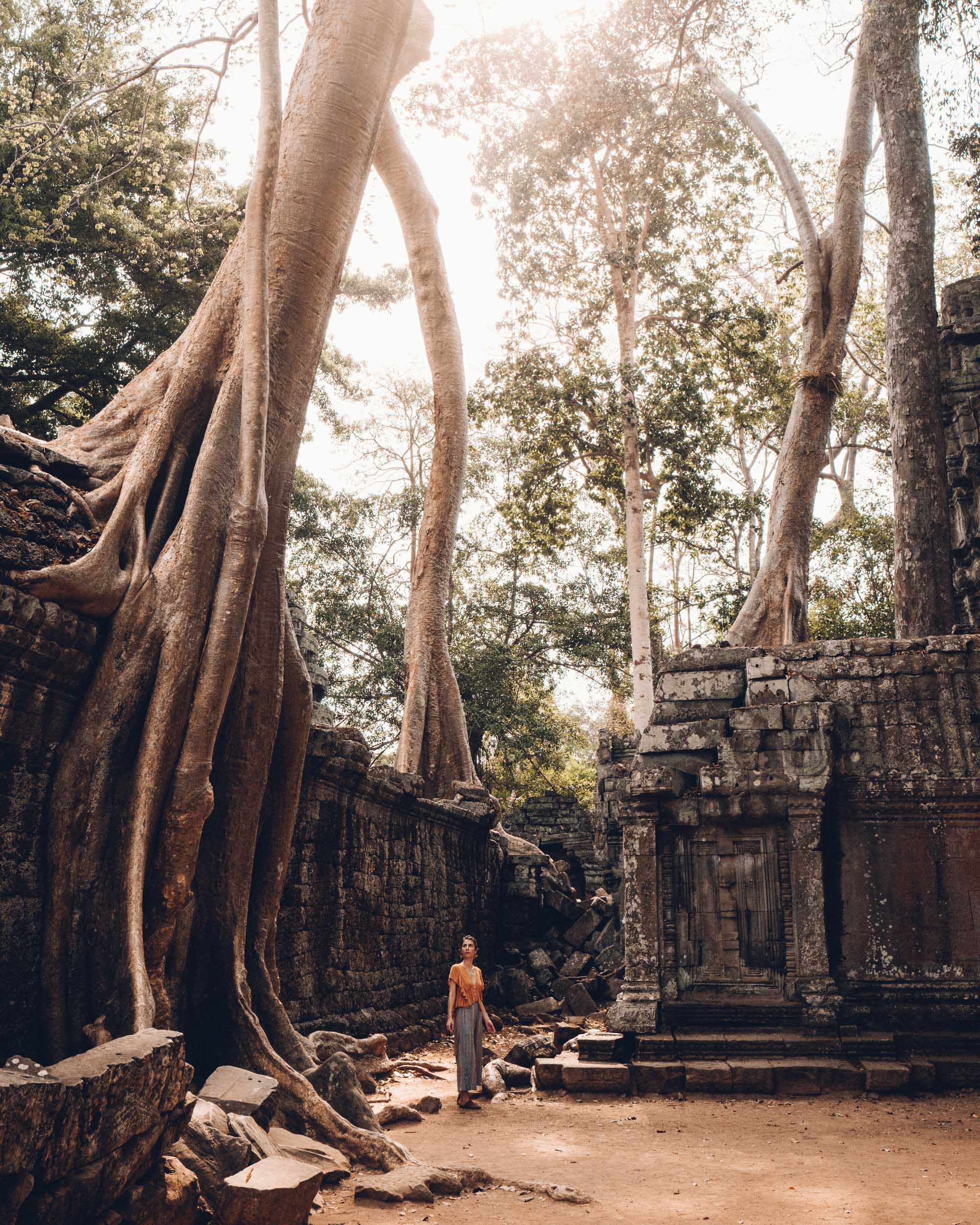 Ta Prohm temple in Siem Reap Angkor Wat Cambodia